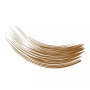 Talika Máscara Para Sobrancelhas Brown 5ml
