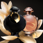 Rabanne Olympèa Absolu Parfum Intense 50ml