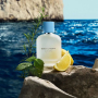 Dolce & Gabbana Light Blue Pour Homme Eau de Toilette 200ml