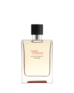 Hermès Terre D´Hermès Eau de Parfum Intense 100ml
