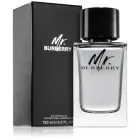 Burberry Mr. Burberry Eau de Toilette 150ml