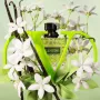 Valentino Donna Born In Roma Green Stravaganza Eau de Parfum 50ml