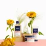 Phyto Color Shampoo Anti-Desvanecimento Cabelo Pintado ou com Madeixas 500ml