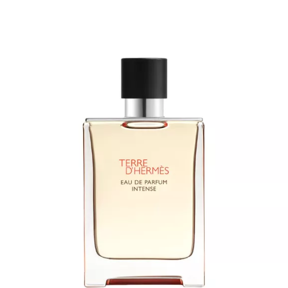 Hermès Terre D´Hermès Eau de Parfum Intense 100ml