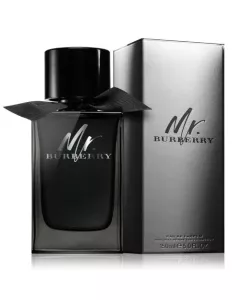 Burberry Mr. Burberry Eau de Parfum 150ml